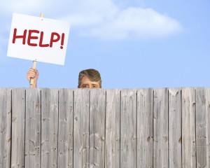 Man with HELP sign looking over wood privacy fence